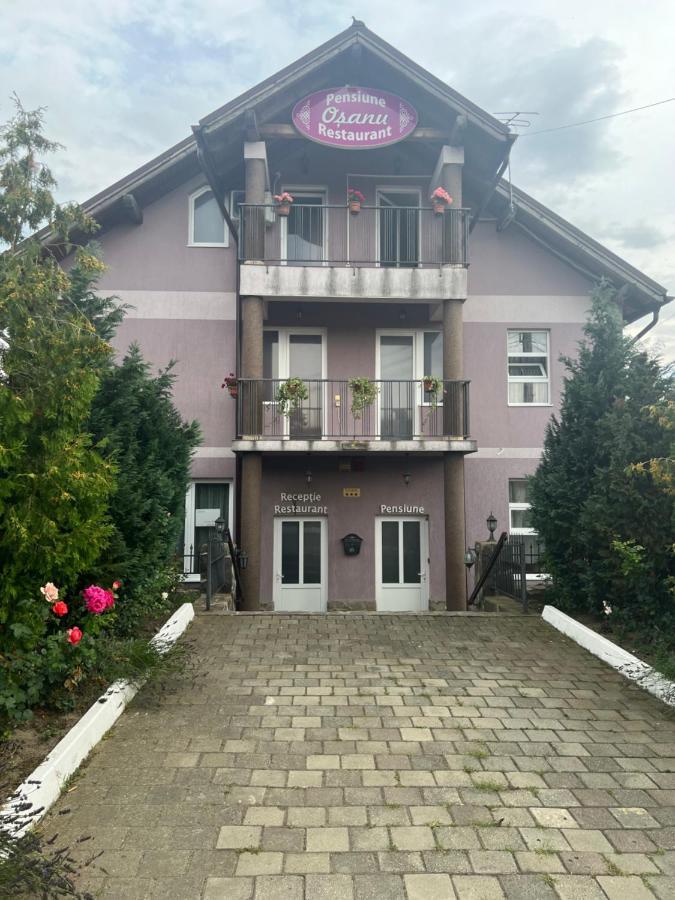 Pensiune Osanu Sibiu Exterior photo